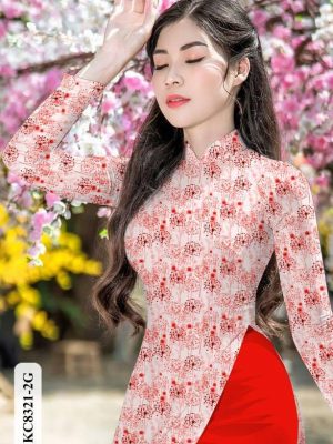 1619080434 727 vai ao dai dep (2)